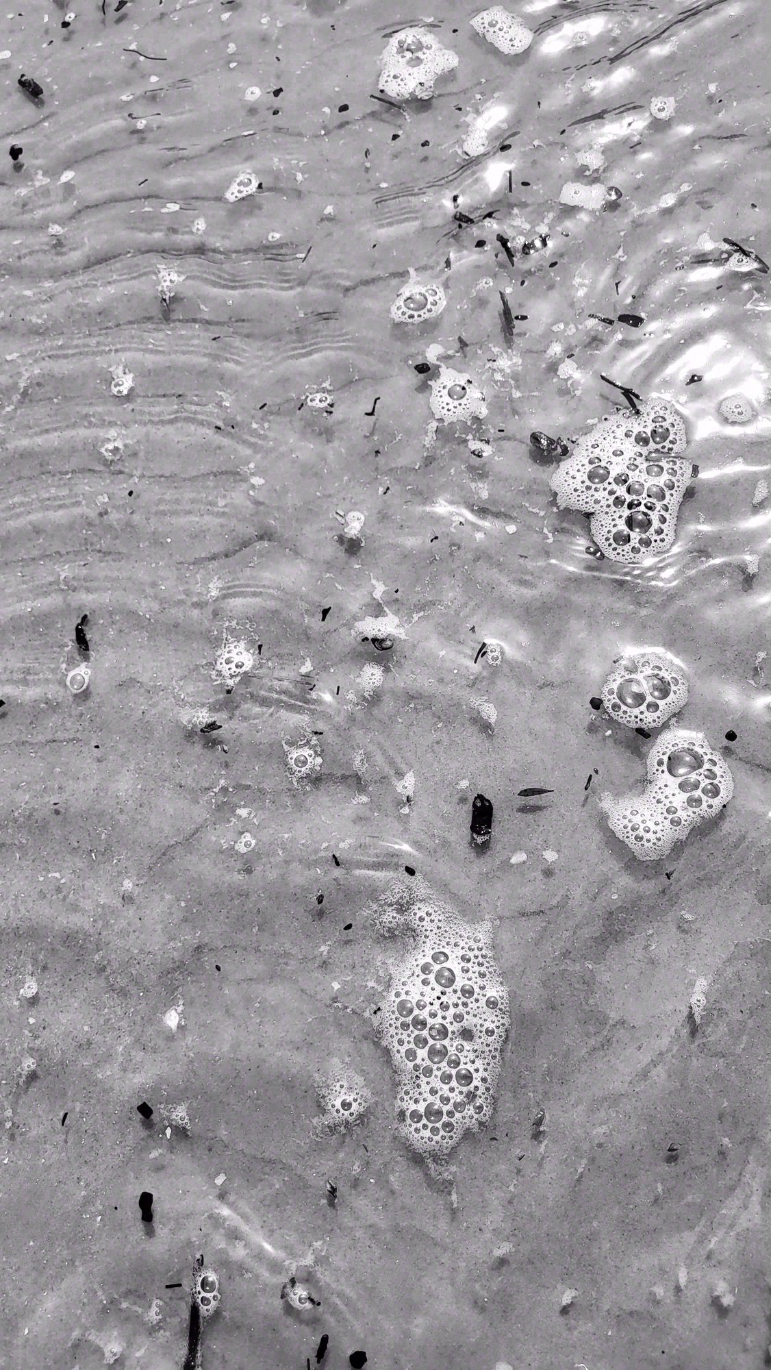 Black and White, Black and White. Photograph 4 of 11 by Heather Marie Kerr