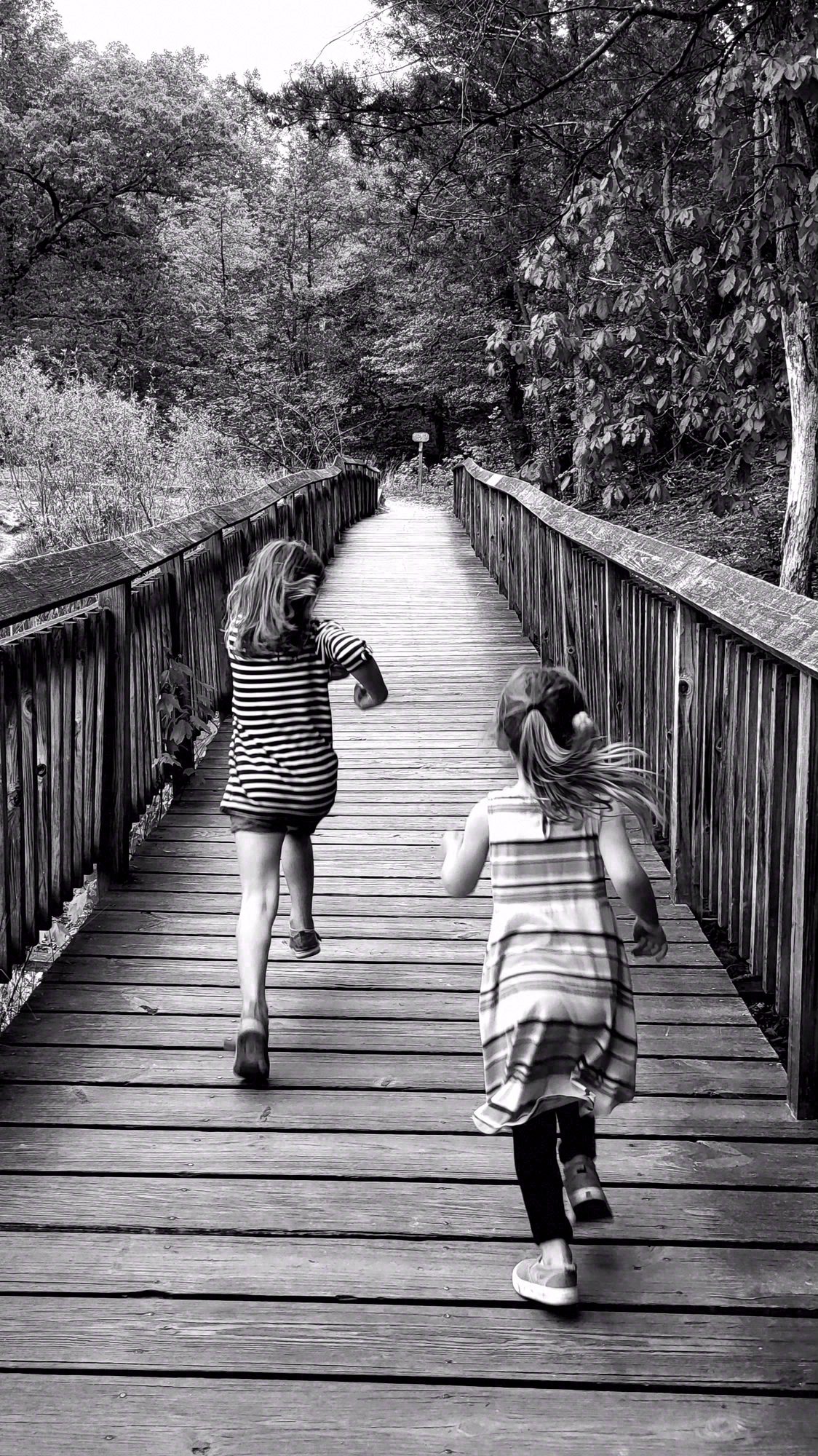 Black and White, Black and White. Photograph 6 of 11 by Heather Marie Kerr