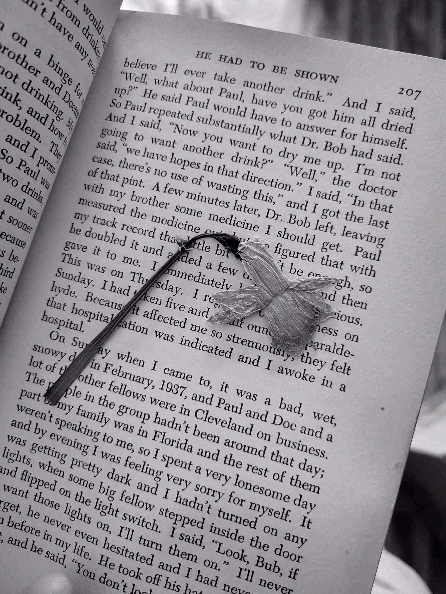 Black and White, Black and White. Photograph 8 of 11 by Heather Marie Kerr