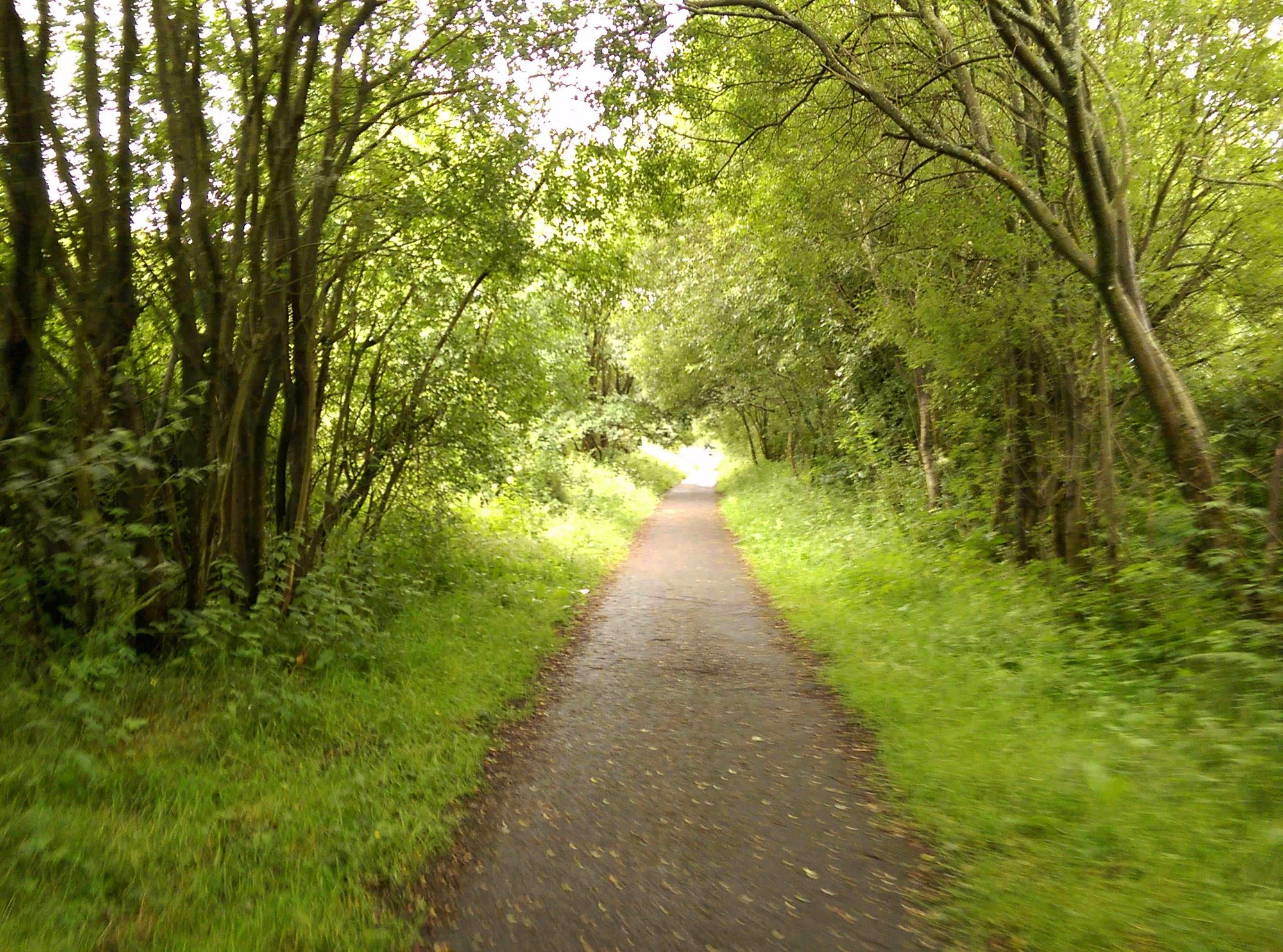 Sunderland, England. Photograph 6 of 6 by Heather Marie Kerr