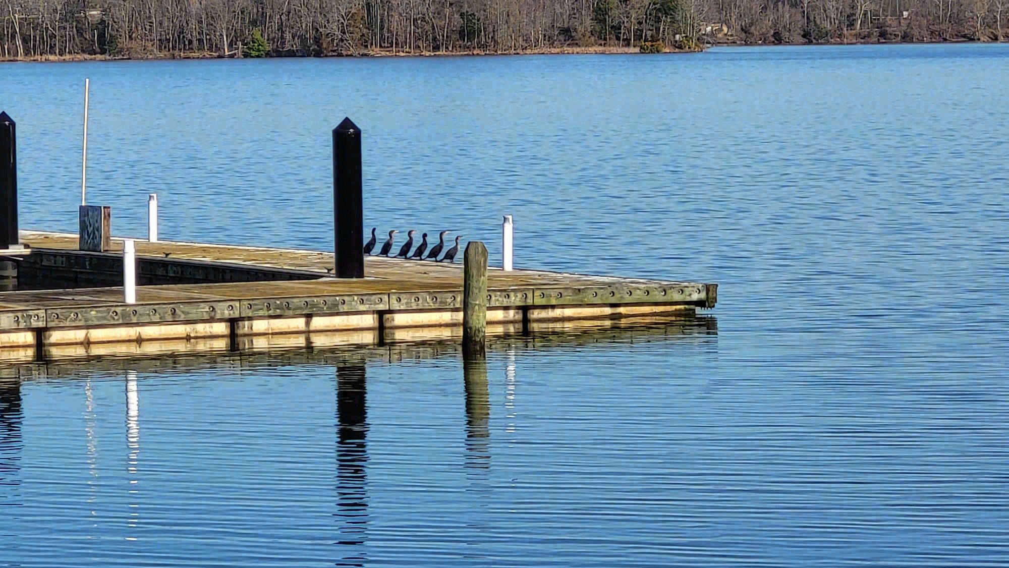 Parks and Trails, Maryland. Photograph 4 of 9 by Heather Marie Kerr