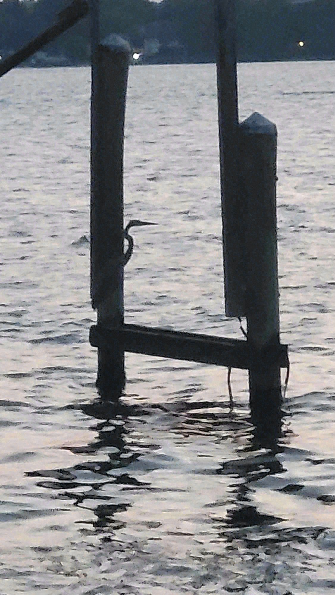 Parks and Trails, Maryland. Photograph 6 of 9 by Heather Marie Kerr