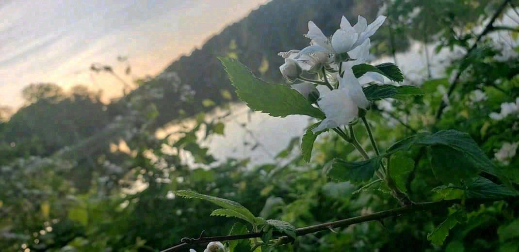 Solomon's Island, Maryland. Photograph 3 of 7 by Heather Marie Kerr
