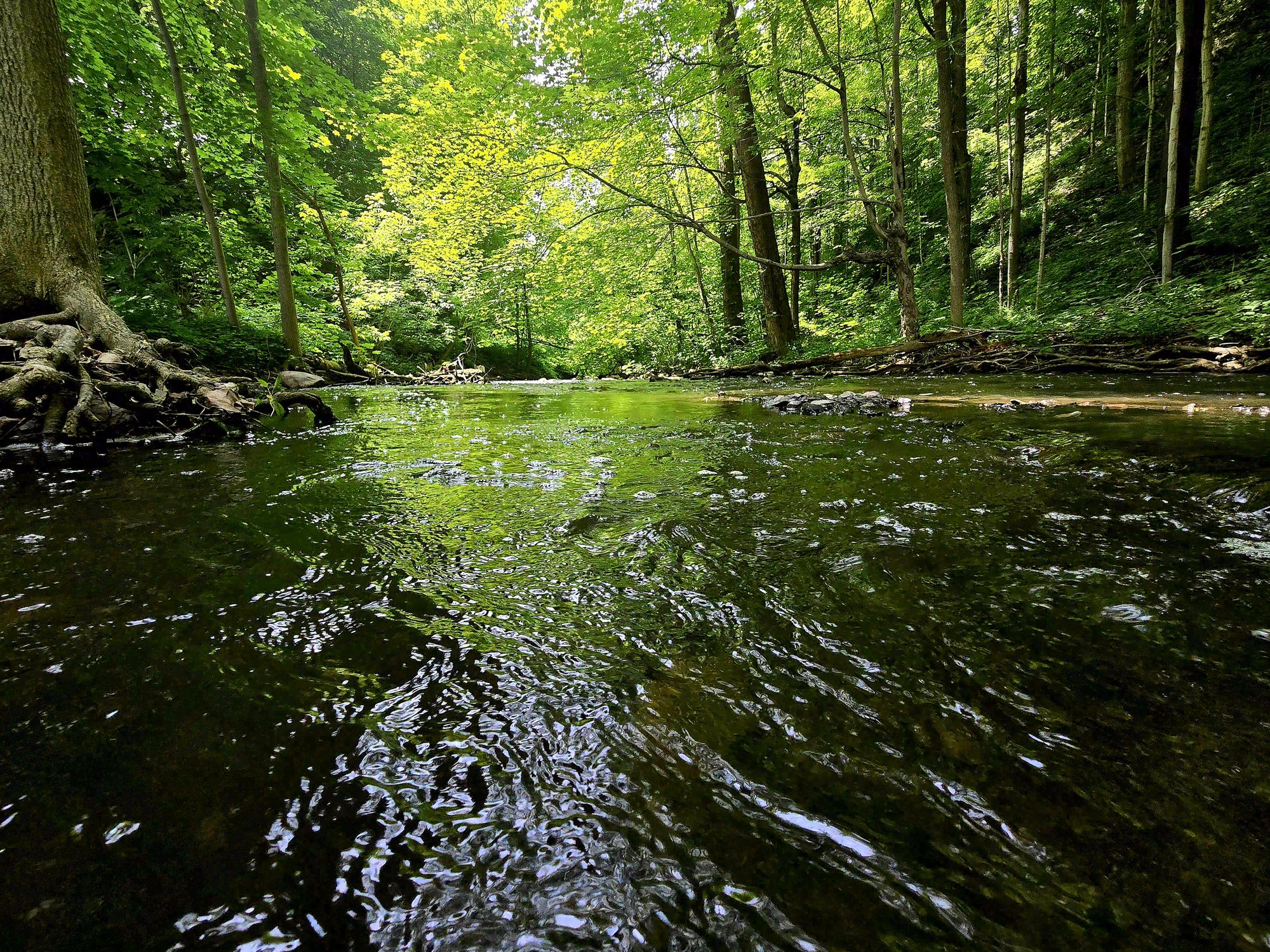 Taughannock Falls, New York. Photograph 1 of 2 by Heather Marie Kerr