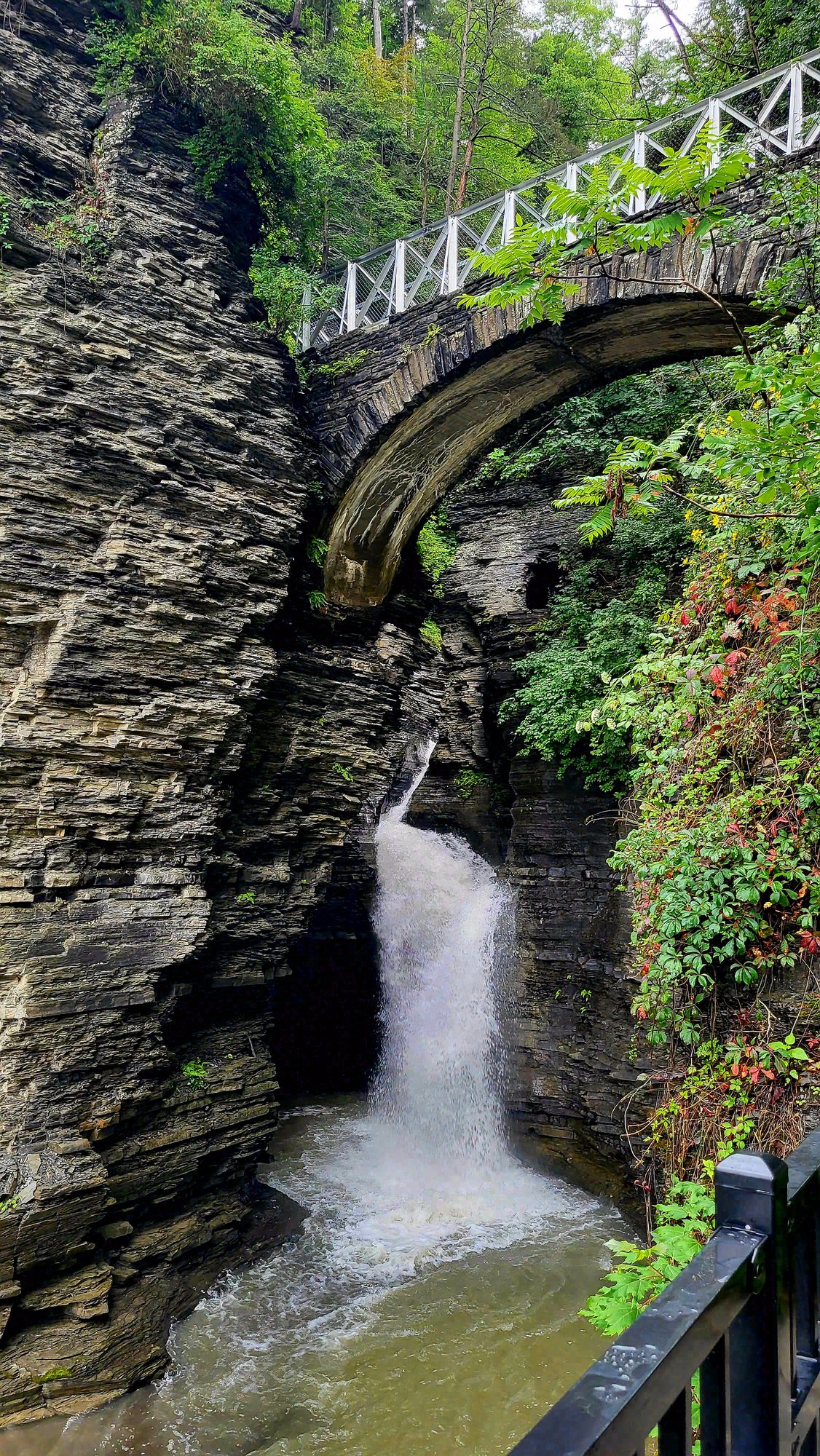 Watkins Glen, New York. Photograph 1 of 6 by Heather Marie Kerr