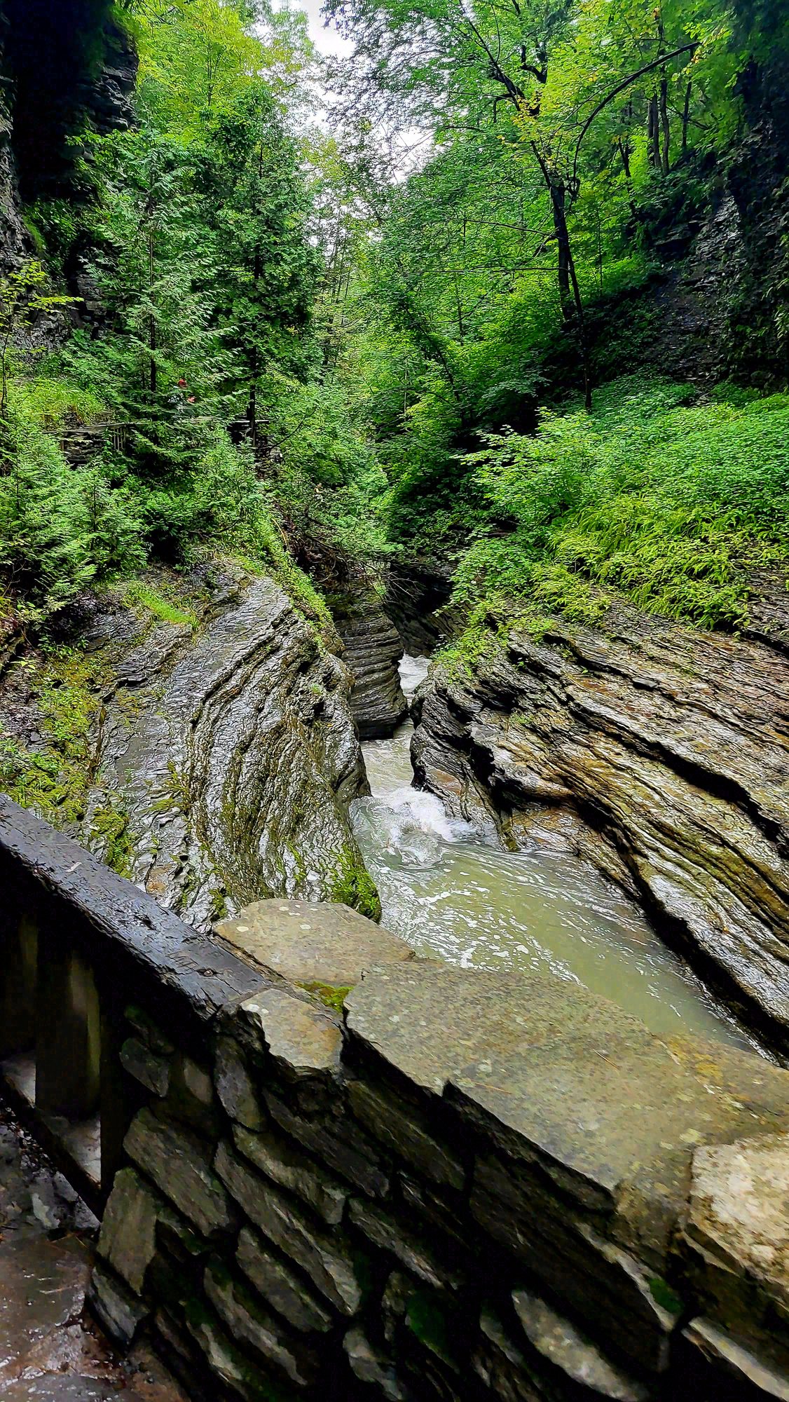 Watkins Glen, New York. Photograph 2 of 6 by Heather Marie Kerr