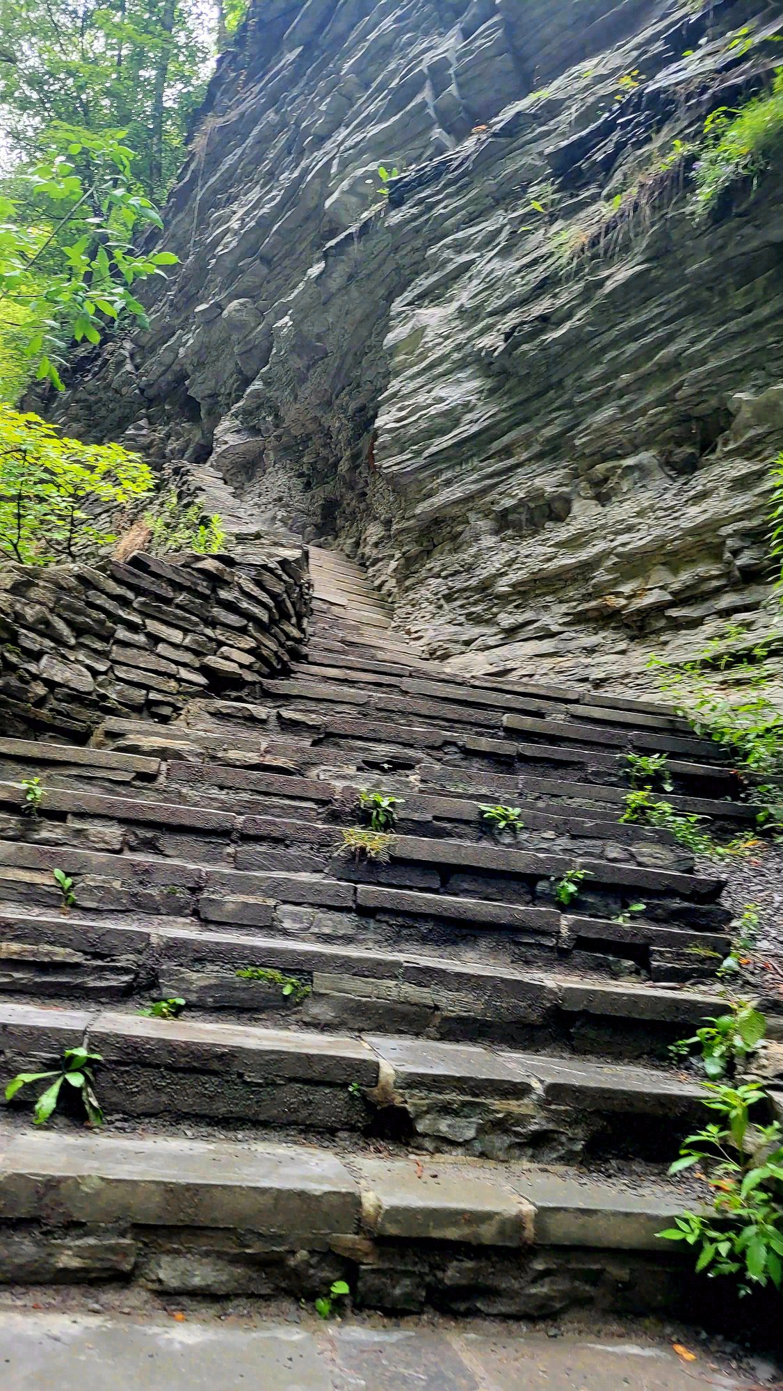 Watkins Glen, New York. Photograph 3 of 6 by Heather Marie Kerr
