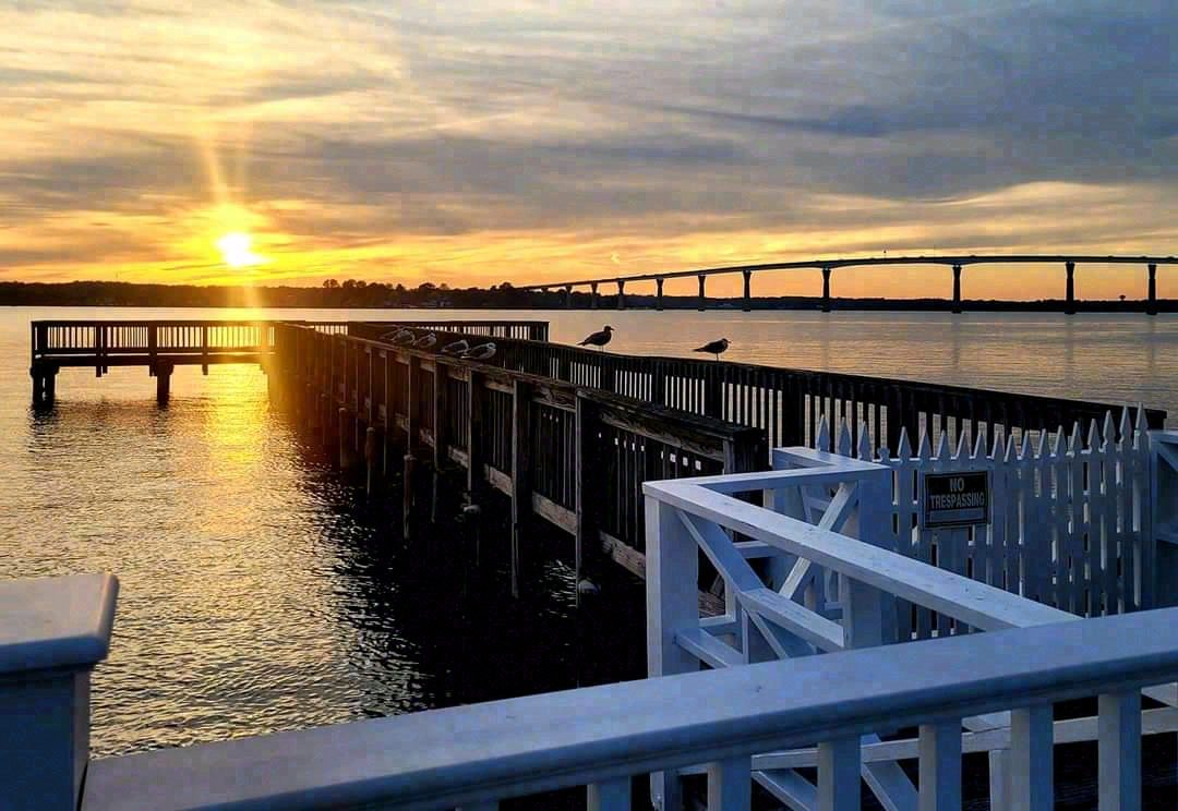 The same bridge at dusk in June, photographed across the same kind of pier railing. The water is metallic blue. The bridge spans the upper third of the frame in silhouette.
