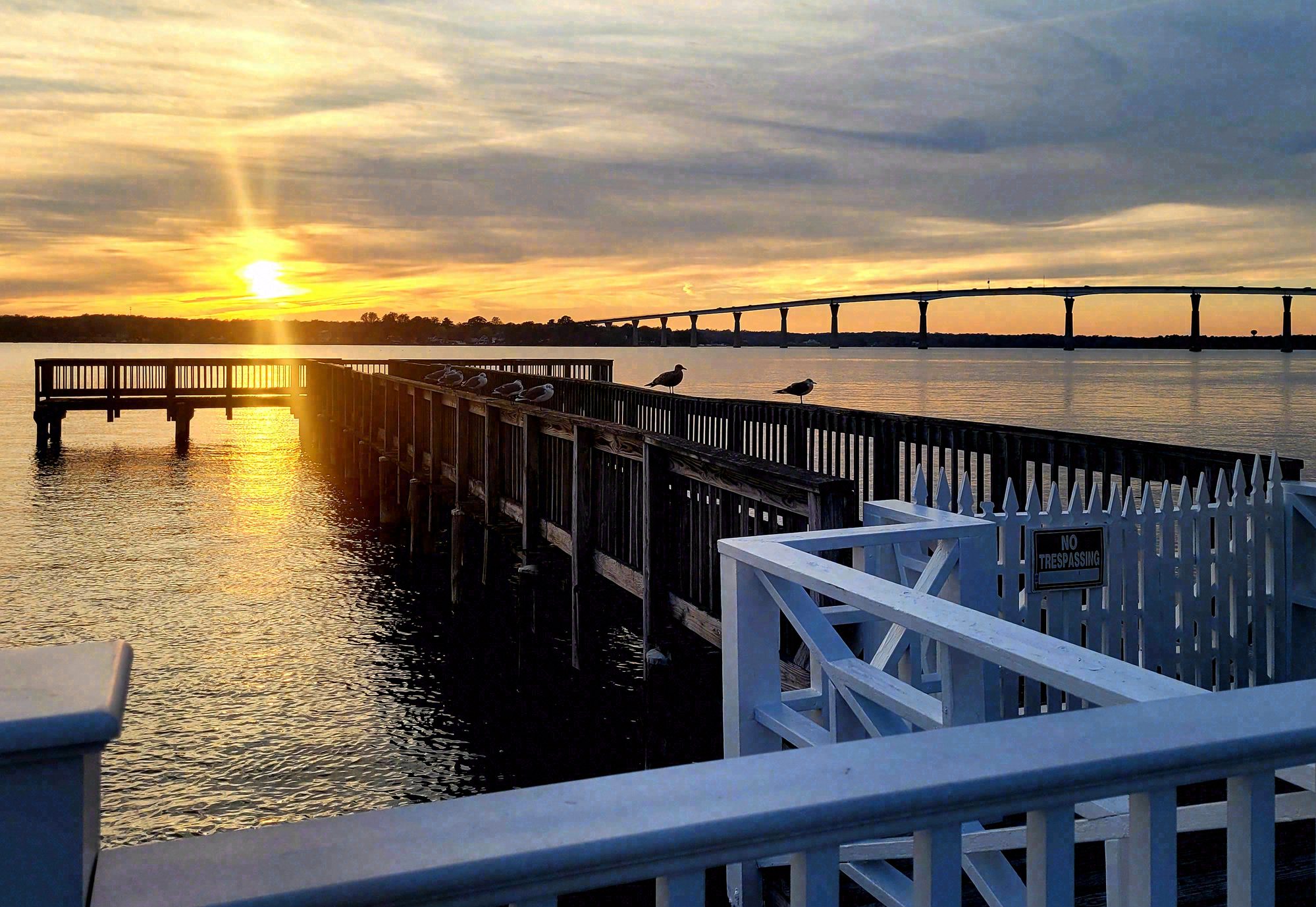 The Governor Thomas Johnson Bridge at Solomons Island, late afternoon in November. A white railing crosses the lower third of the frame. Gulls stand on a pier at left. The bridge sits as a slim horizontal at the far horizon under a high, hazy sky.